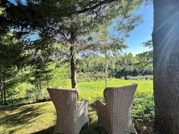 Overnatningsstedets område