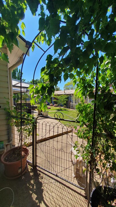'Winona' @ Cootamundra