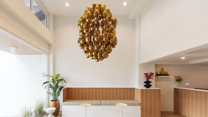 A modern reception area with a wooden bench, a potted plant, and a unique gold spherical chandelier.