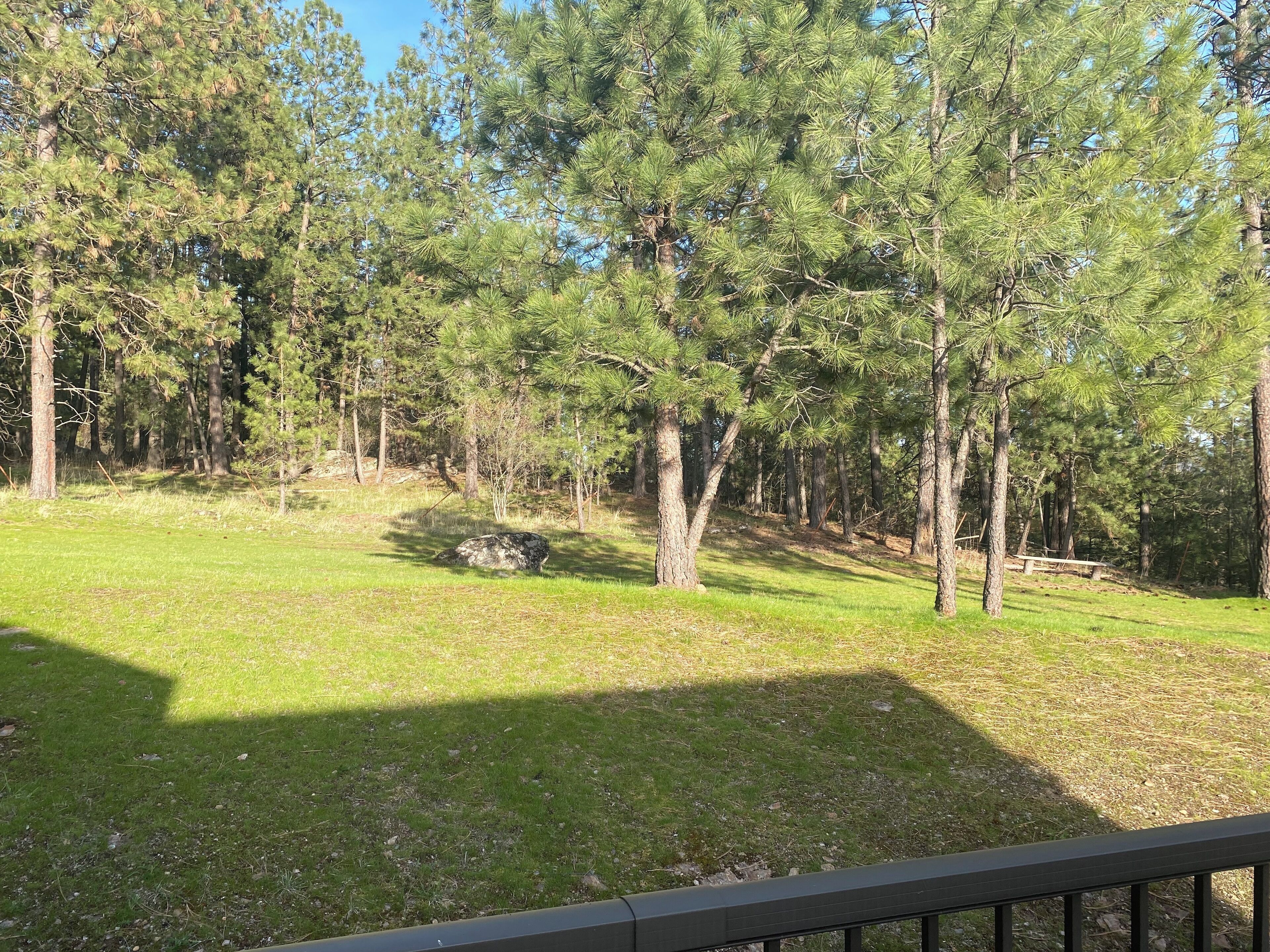 A grassy outdoor area with trees and a wooden bench.