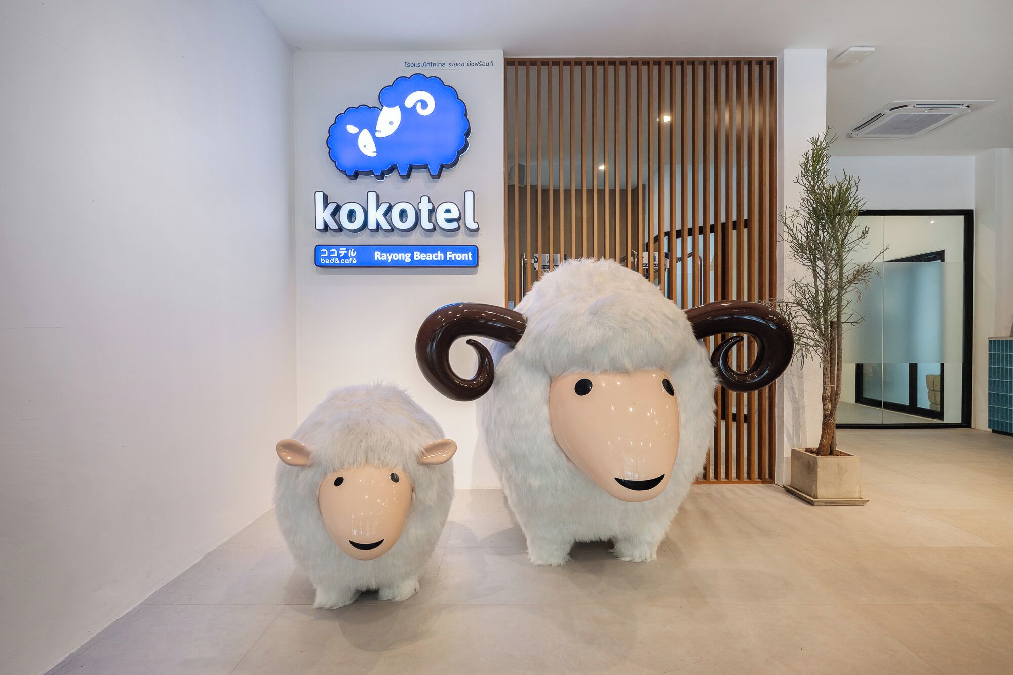 Un letrero de 'kokotel' con un logotipo de un borrego azul e indicaciones de que es un alojamiento y cafetería frente a la playa de Rayong.