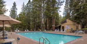 Relax by the pool surrounded by tall pine trees, with a ladder for easy access and lounge chairs for a comfortable stay.