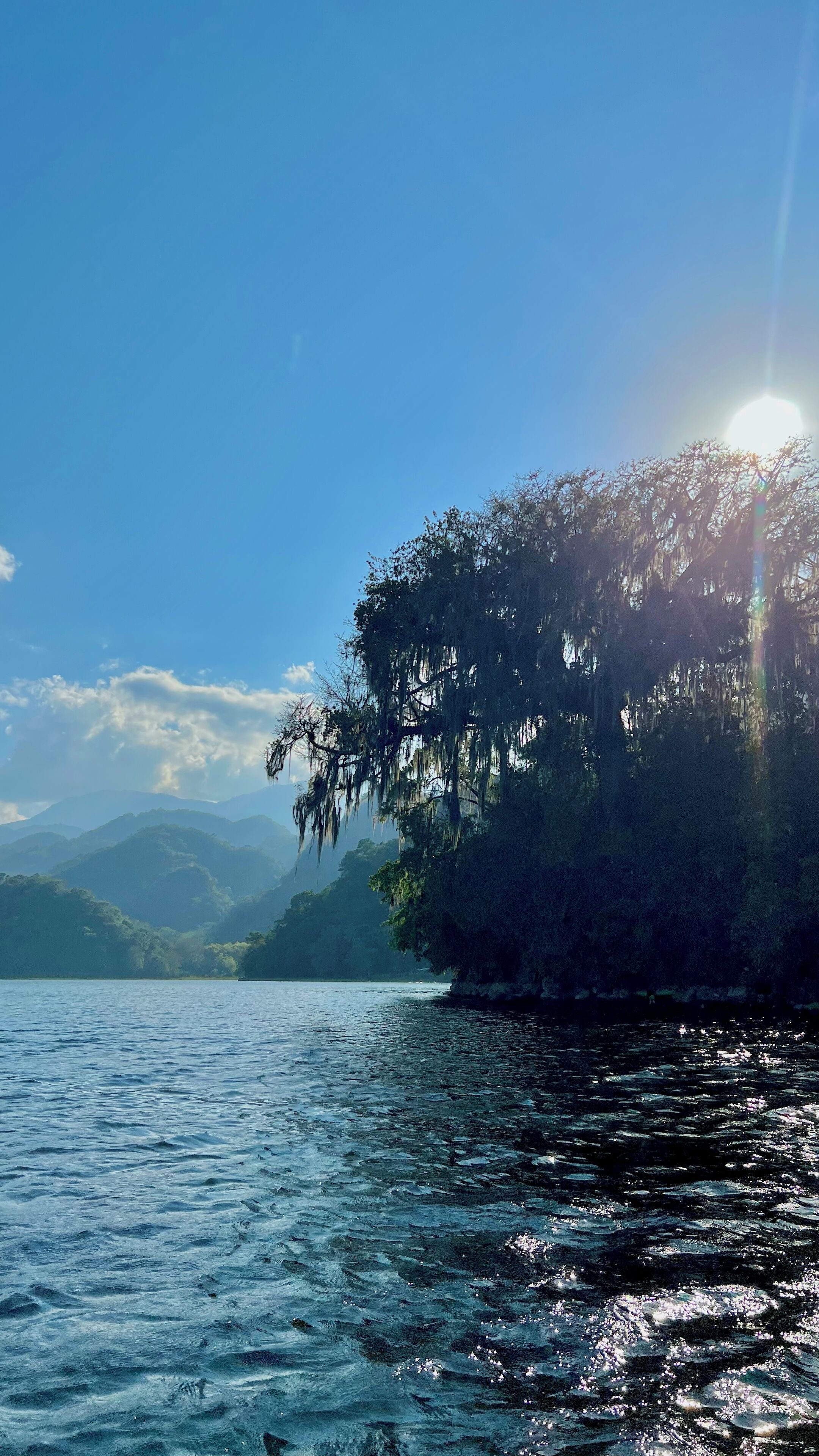 A calm lake with a clear sky and a tree with hanging moss on the right.