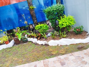 Property grounds - LR Bungalow (Tacloban City)