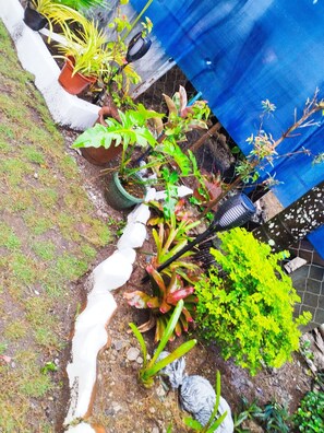Exterior detail - LR Bungalow (Tacloban City)