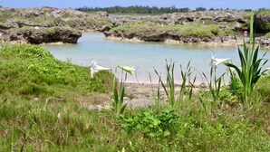 A natural landscape with a clear water body, rocky terrain, and green vegetation.