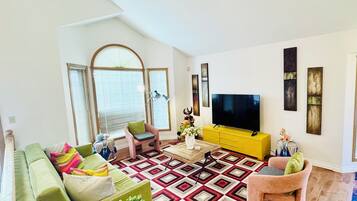 Smart TV, fireplace, books