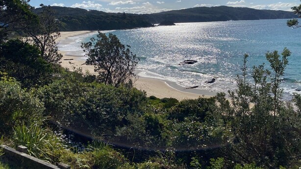 A coastal landscape with a beach, trees, and a clear sky. - Yallumbee, Seal Rocks - Modern, Private Beach House In Prime Location (Seal Rocks)