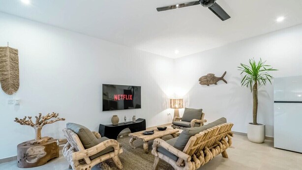 A modern living room with a flat-screen TV, a ceiling fan, and a potted plant.
