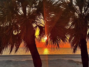 A beach scene with palm trees silhouetted against a sunset.