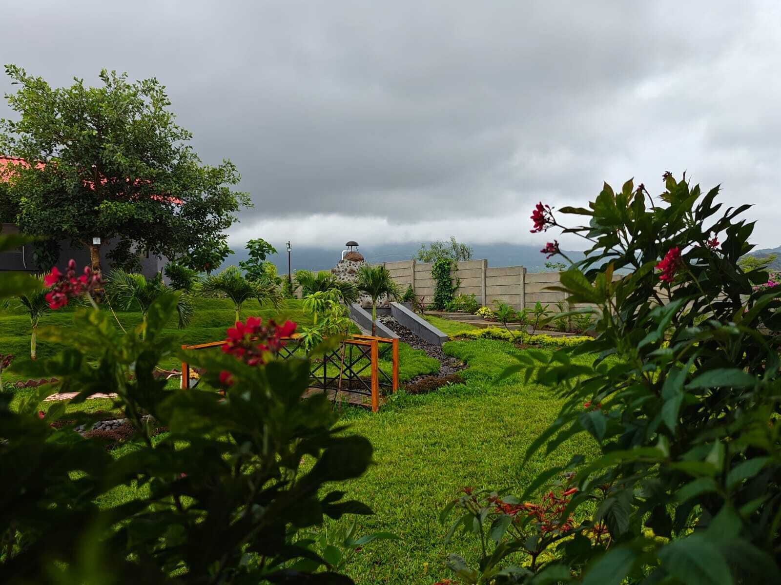 A garden with a variety of plants and a small structure.