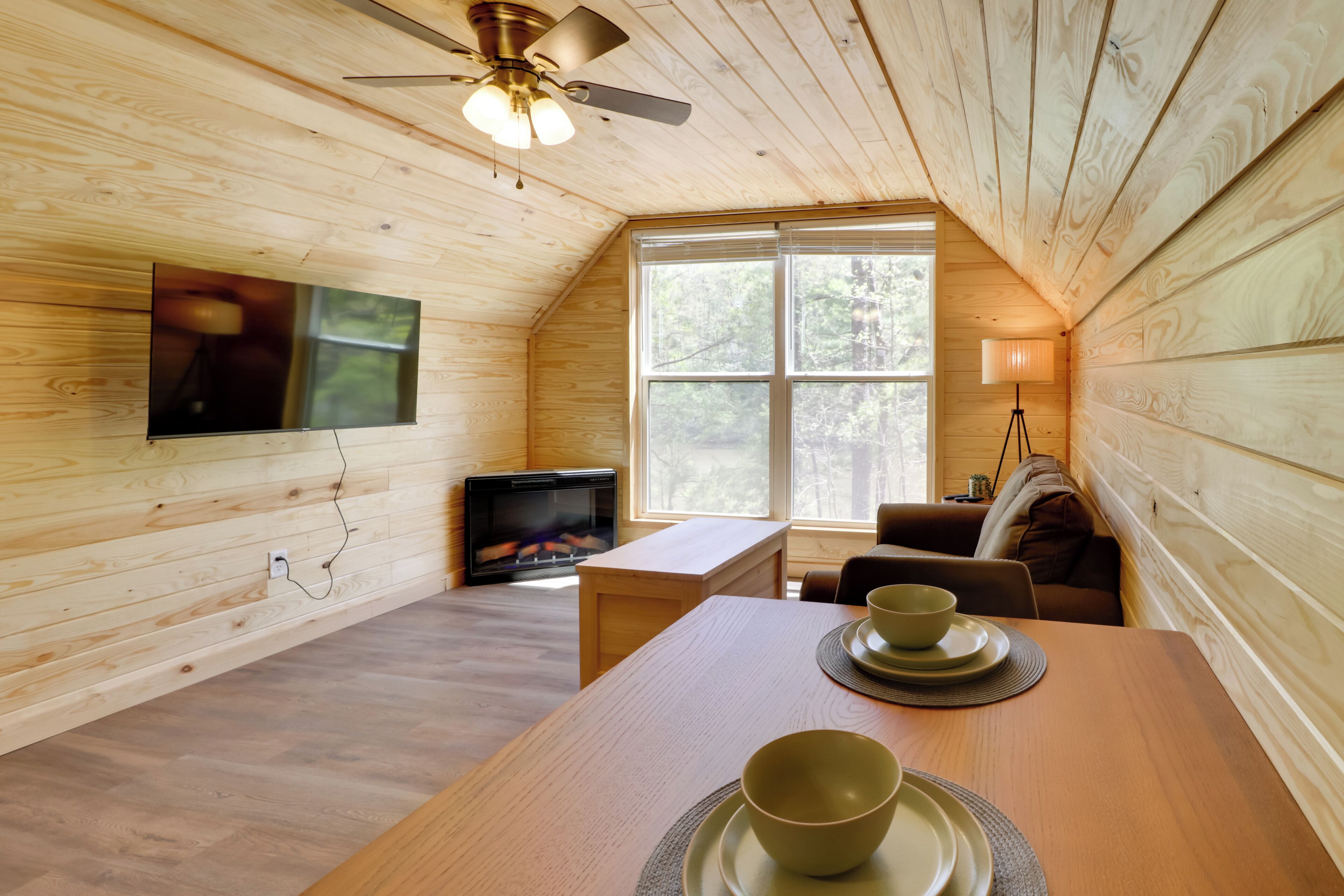 TV, fireplace, books
