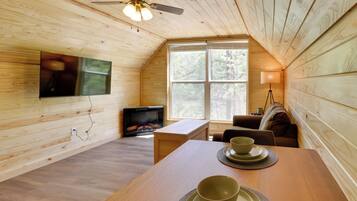 TV, fireplace, books