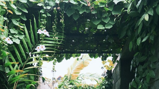 花園