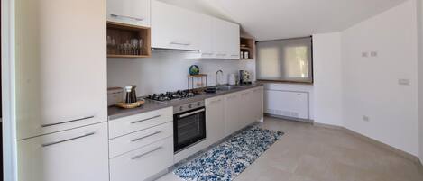 Fridge, stovetop, dishwasher