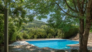 Une piscine rectangulaire bordée d’une terrasse en pierre, entourée d’arbres et offrant une vue sur des collines verdoyantes en arrière-plan.