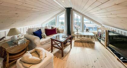 Beautiful home in Sjusjøen with WiFi
