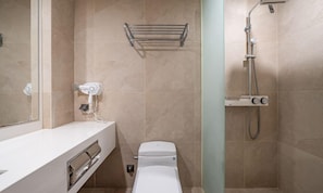 Family Room | Bathroom | Shower, hair dryer, towels, soap