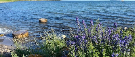Pesca