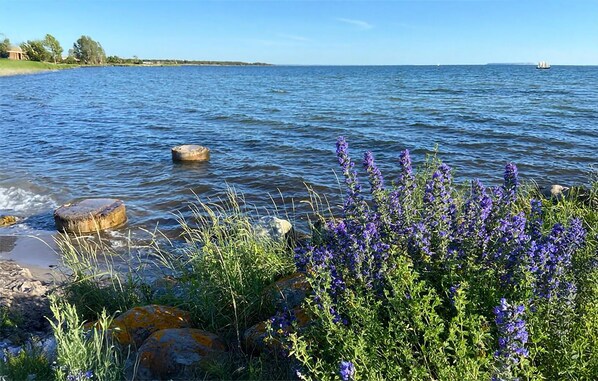 Fishing