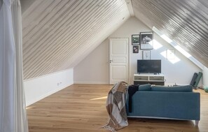 Smart-TV, Kamin