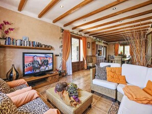 Télévision, cheminée, lecteur de DVD, table de tennis de table