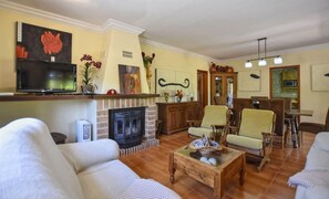 Télévision, cheminée, lecteur de DVD