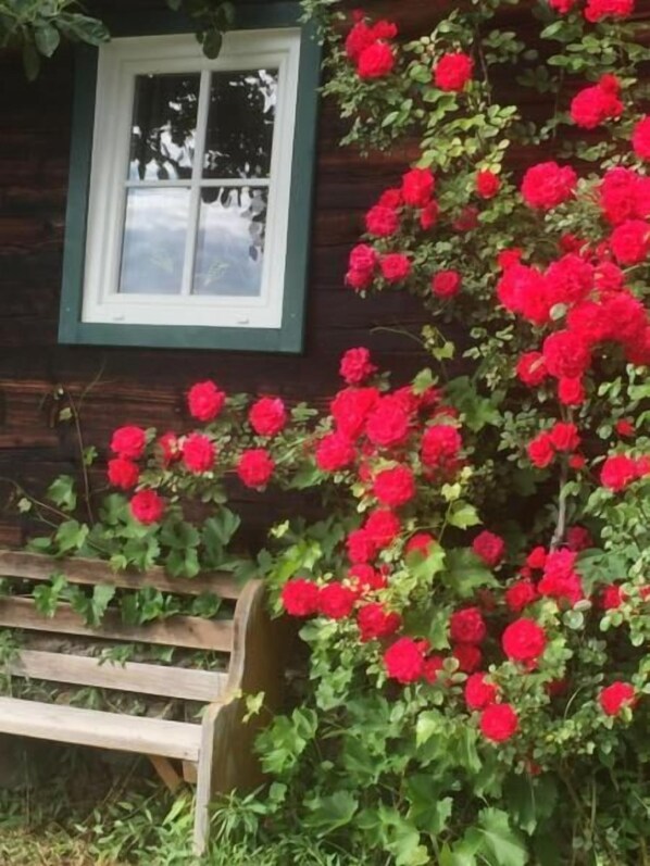 تفاصيل الفندق من الخارج