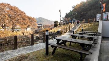 Park view