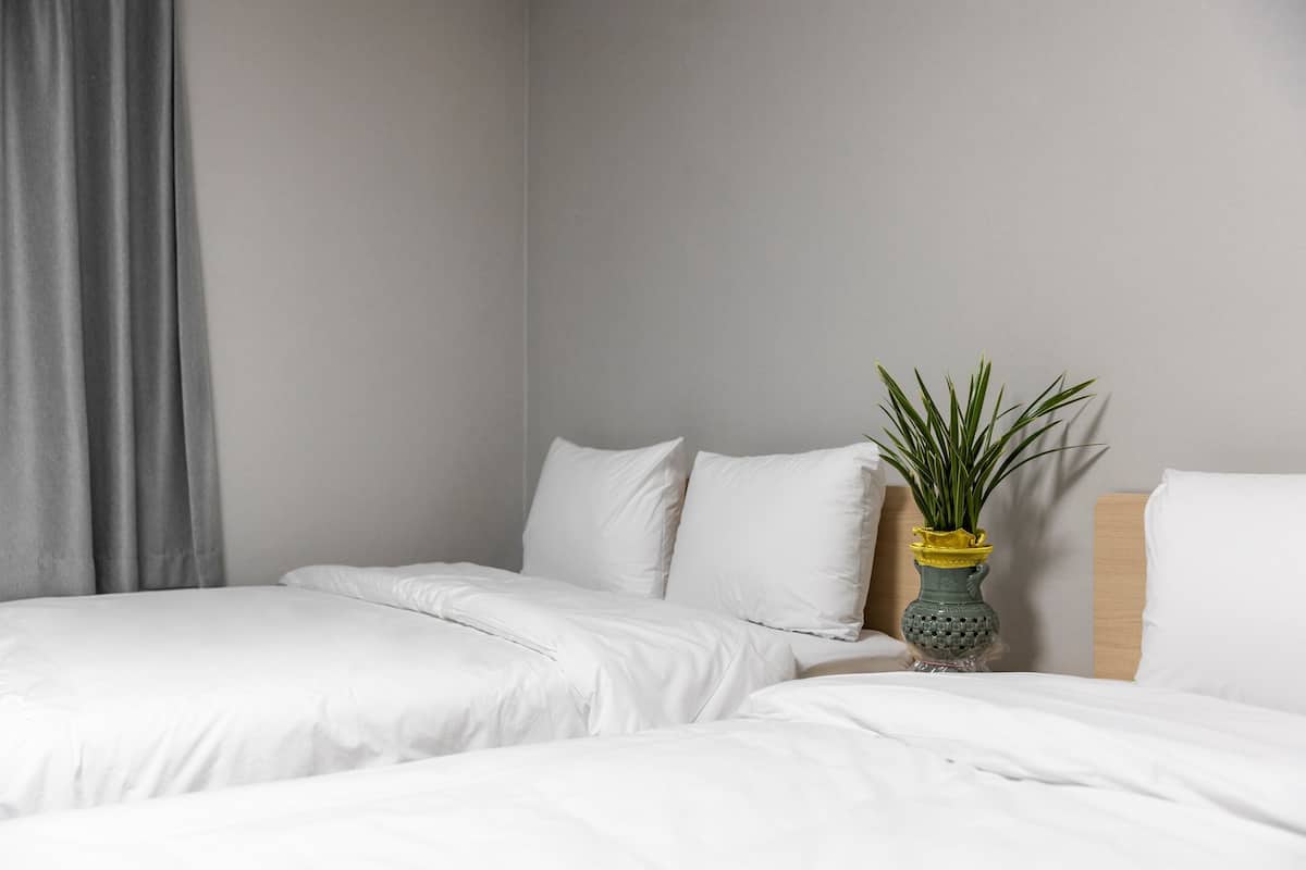 Free WiFi, bed sheets