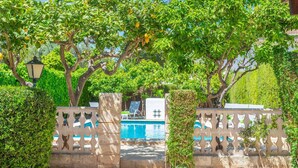 Zona de piscina con una puerta de piedra, rodeada de abundante vegetación y árboles.