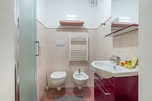 Shower, hair dryer, bidet, towels
