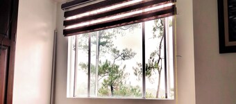 Cozy 1 BR Unit  Condo near Wright Park, Wifi and Parking