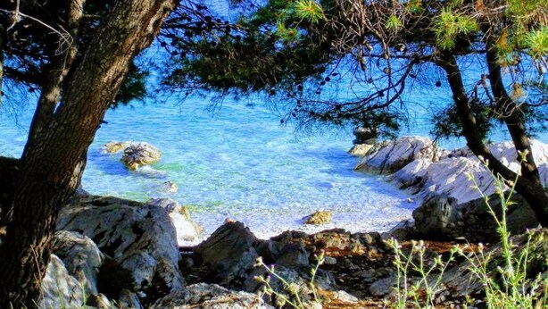 A rocky shoreline with clear blue water and pine trees. - Studio in Tribunj near Bristak Beach (Tribunj)
