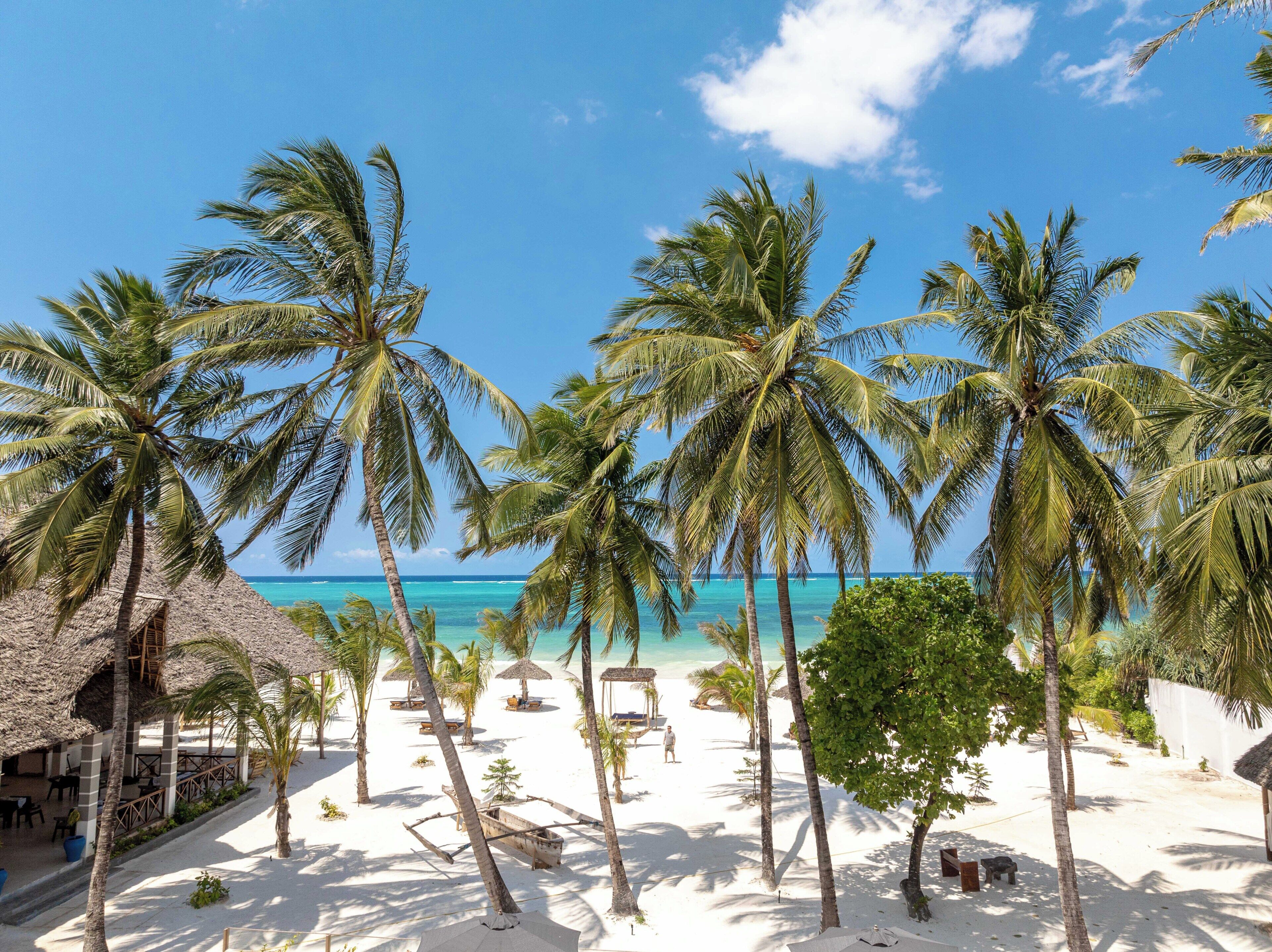 Privat strand, hvit sand, solsenger og parasoller