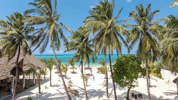 Una playa con palmeras, una estructura de techo de paja y una vista despejada del océano.