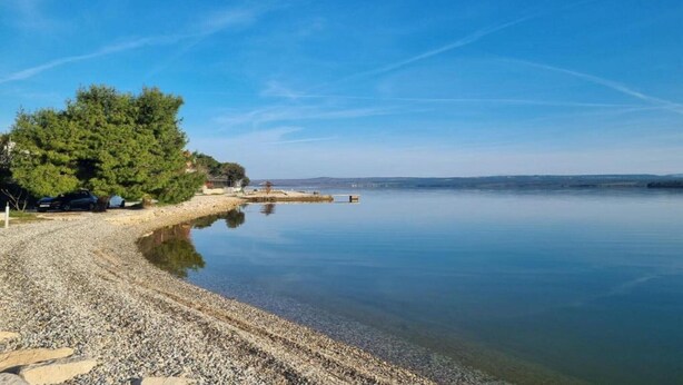 Un lac paisible, avec une plage de galets, un grand arbre et un petit quai.
