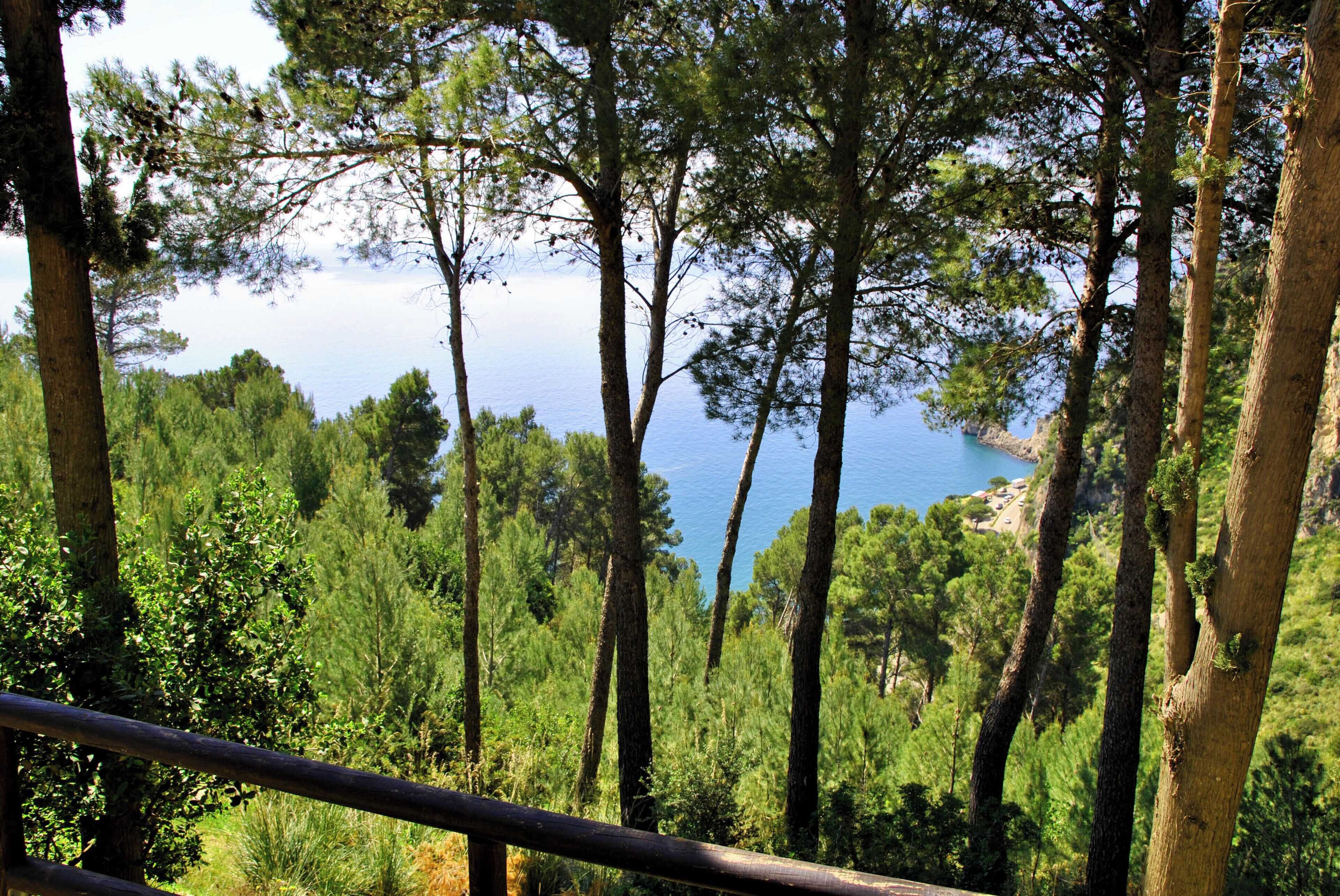 Vista dalla struttura