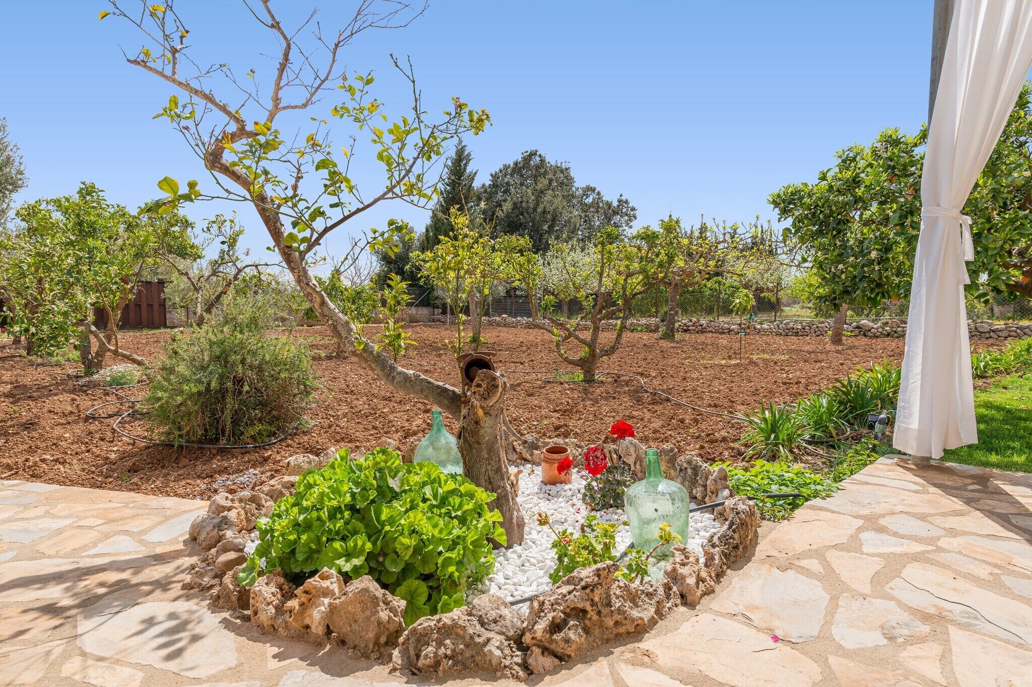 Jardines del alojamiento