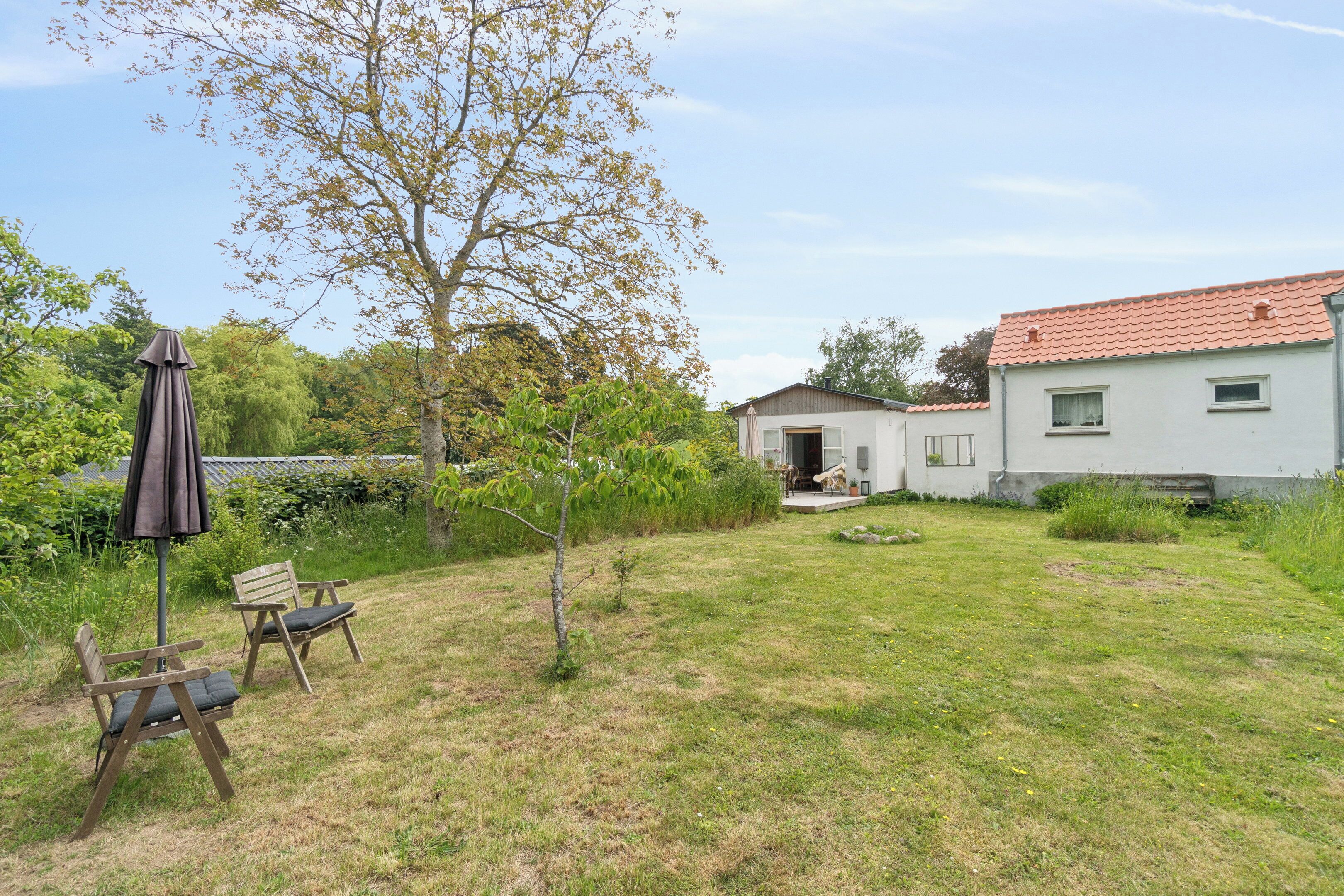 A grassy yard with two wooden chairs, a small tree, and a building with a tiled roof.