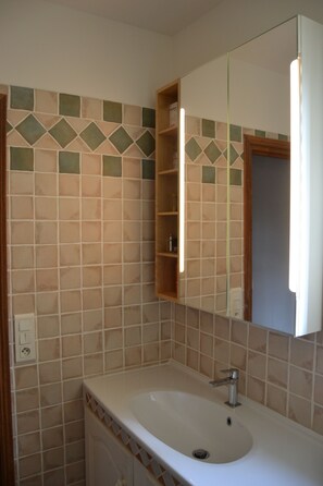 Shower, hair dryer, toilet paper