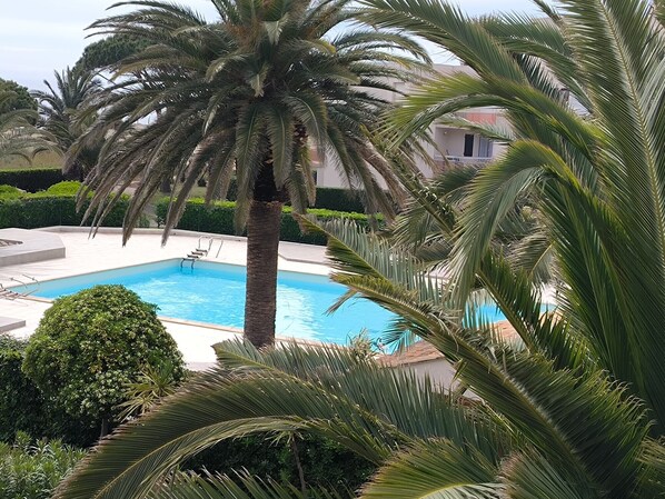 A swimming pool surrounded by palm trees and greenery, with a building in the background.