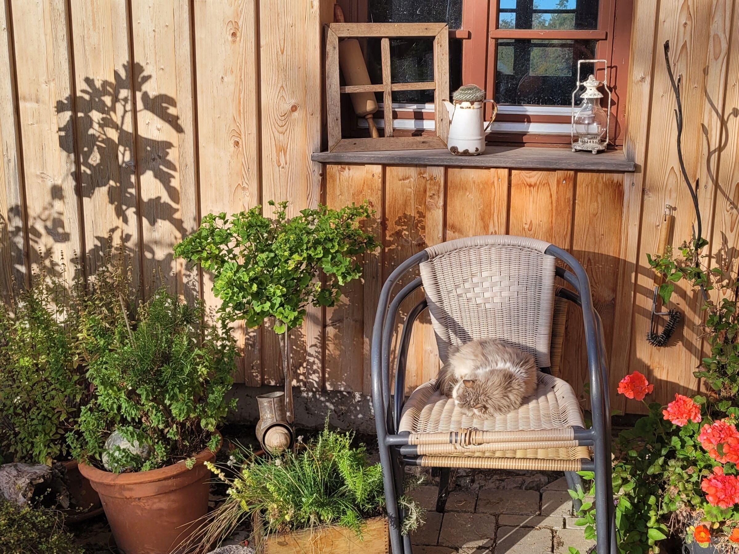 Área da propriedade