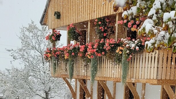 En træbygning med en balkon pyntet med blomster, snedækket jord og et træ i baggrunden.