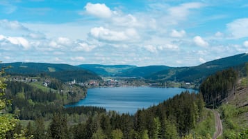 Sekalaista