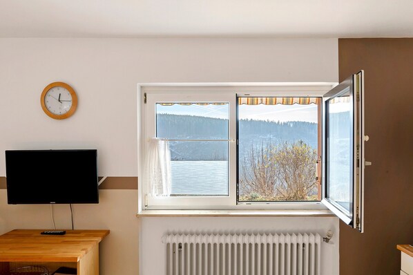 A room with a TV, a window with a view of a lake and trees, a wooden desk, and a radiator.