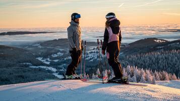 Wintersport/Ski