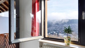 Ein Fenster mit Blick auf eine verschneite Landschaft, ein Heizkörper darunter und ein kleiner Topfpflanze auf dem Fensterbrett.