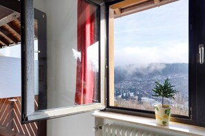 Interior - Apartment 'Haus Wintersonne - FeWo Libelle' with Shared Garden, Balcony and Wi-Fi (Feldberg)