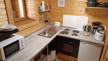 Frigorífico, microondas, horno y placa de cocina